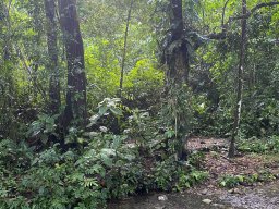 IMG-20251129-WA0005